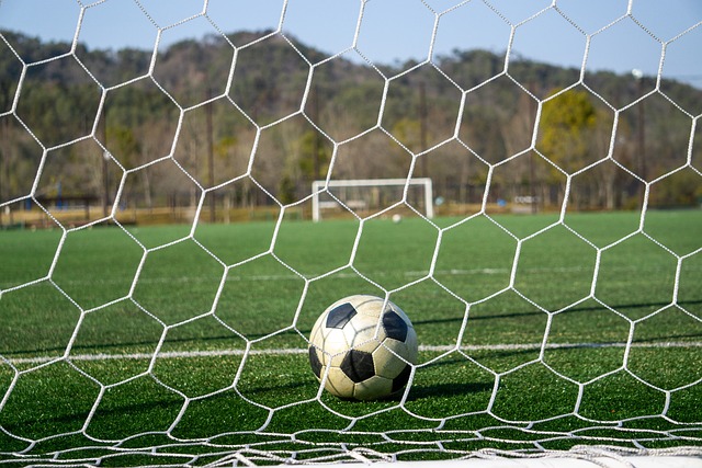 阿马杜肯定 阿马杜肯定