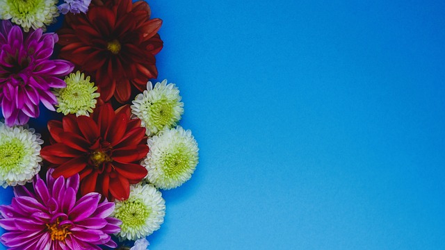 主力球員因 主力球員因