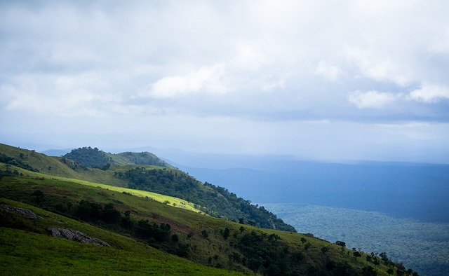 引发重大影 引发重大影