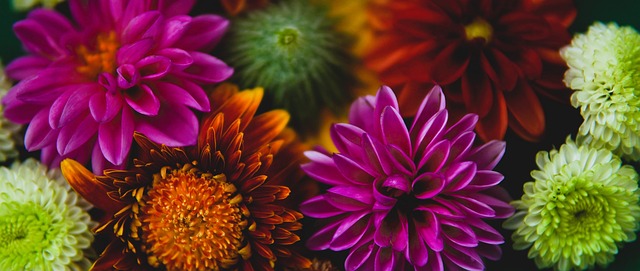 惊人的韧性 惊人的韧性